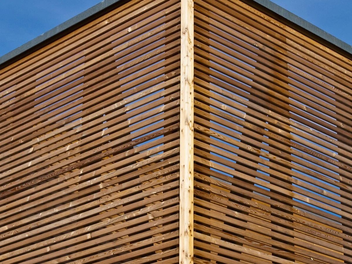 Frey — photo 3