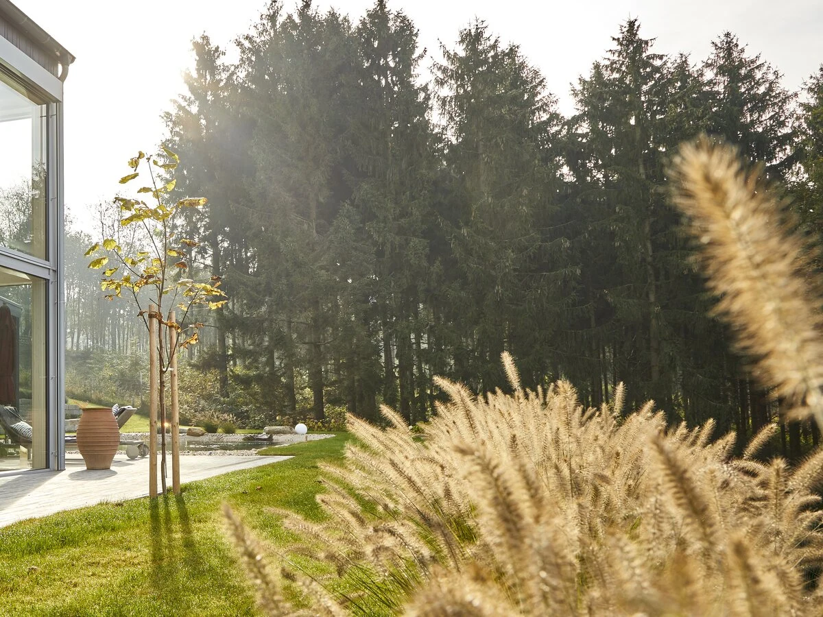 Haus am Wald — photo 3